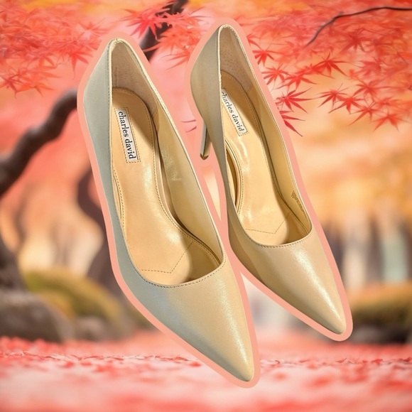 NWOT Charles David ‘Denise’ Pointed-Toe Pumps in Nude Leather Size 11 - Picture 5 of 16